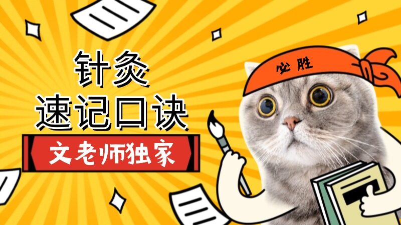 文老师针灸主穴速记口诀短视频