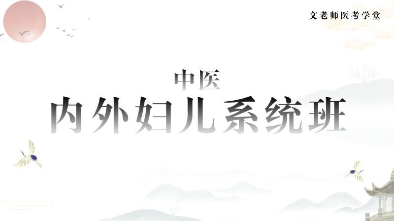 中医内外妇儿系统班