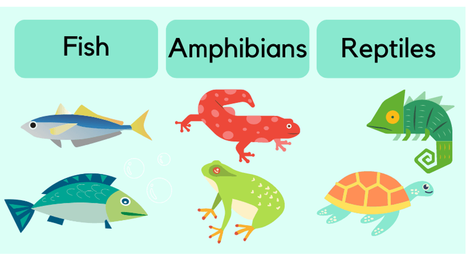 May 31 - 4.4 Part 2, 4.5 Part 1