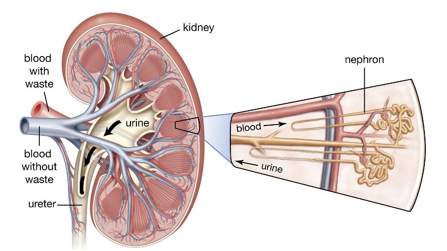 June 1 - 5.2, 5.3 (Part 1)