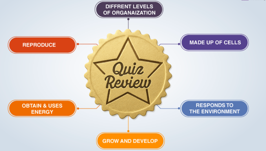Quiz Review 2 - 1.1.1, 1.1.2, 1.1.3