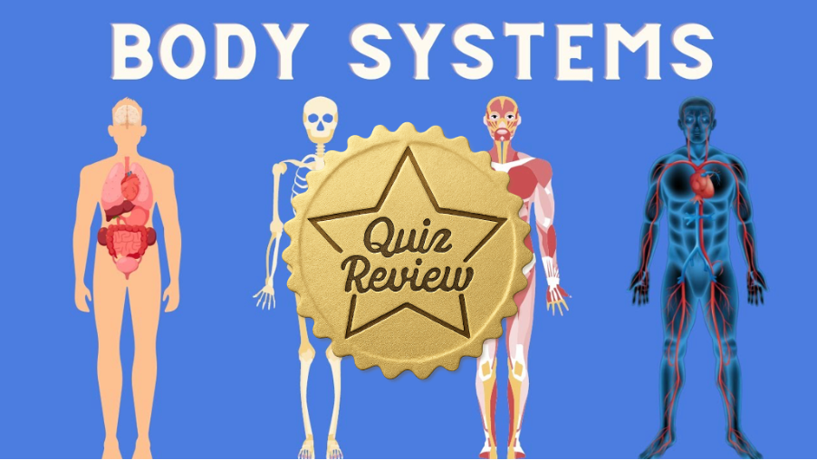 Quiz Review 2 - Unit 1