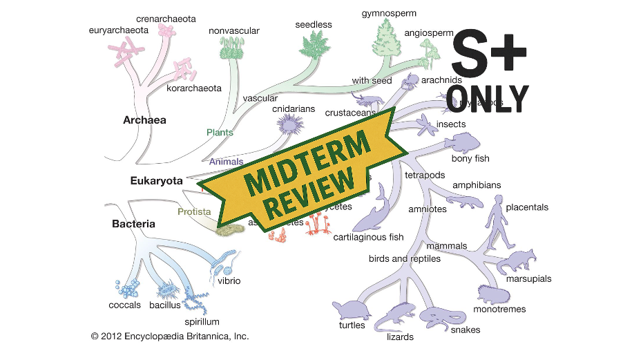 1.4 Review (S+ Only)