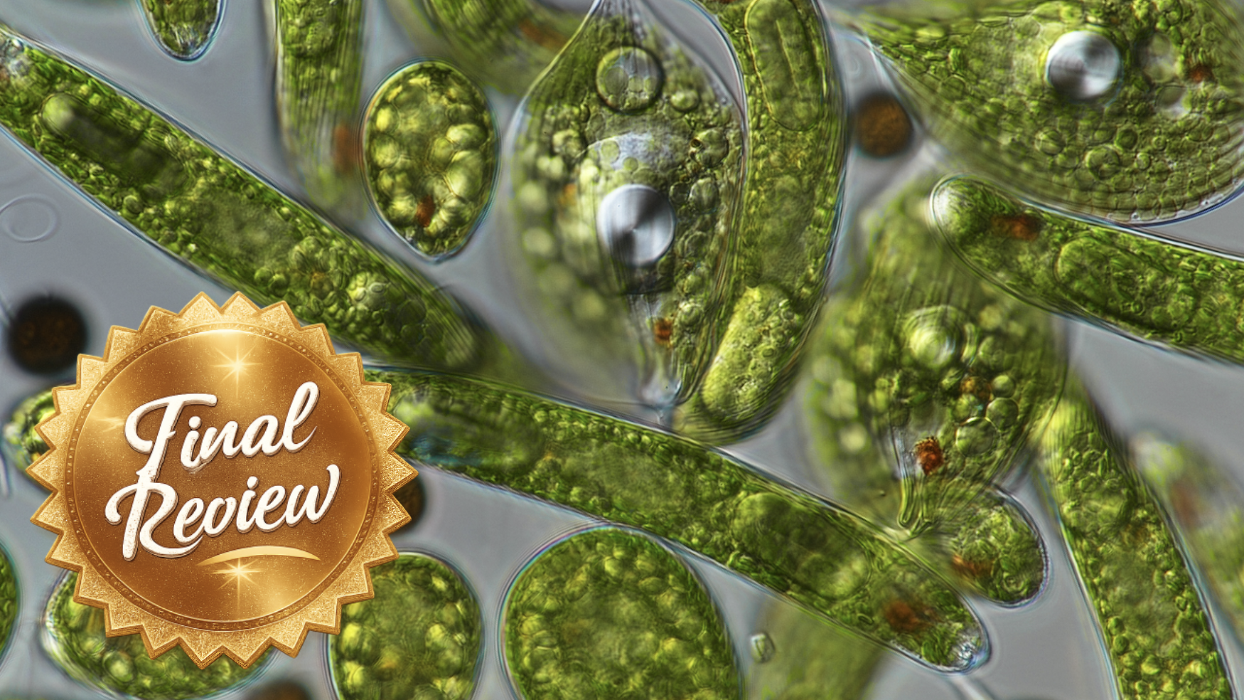 Final Review 2 - 2.3 Part 2, 2.1