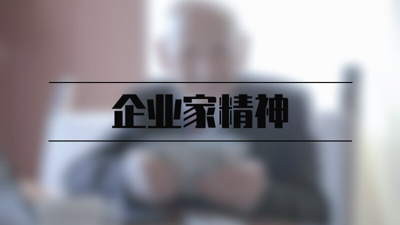 企业家精神