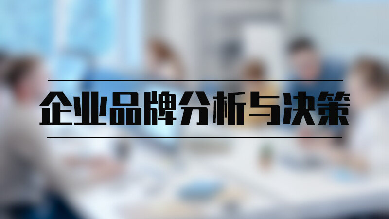 企业品牌分析与决策