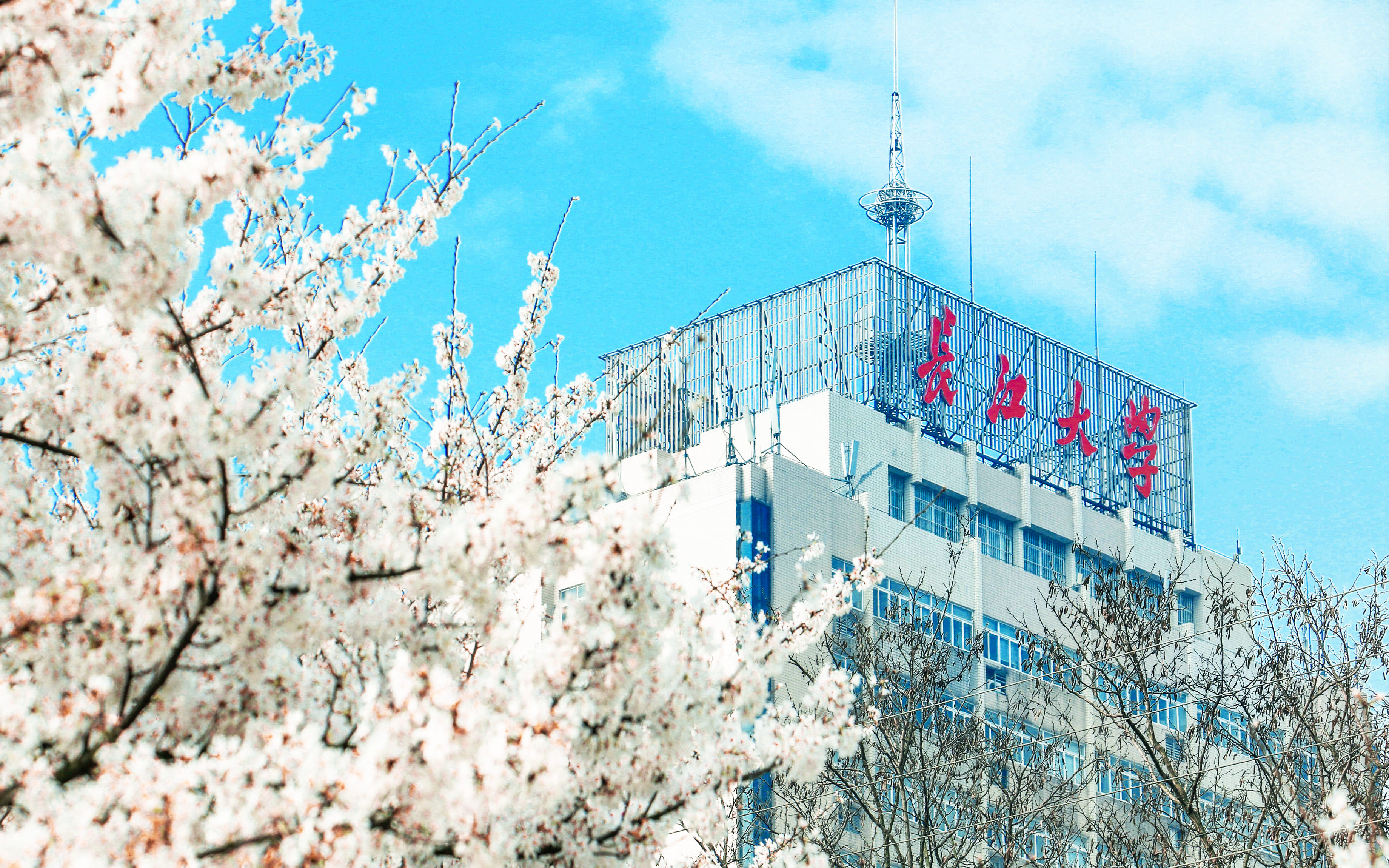 【同等学力申硕】长江大学2025招生简章