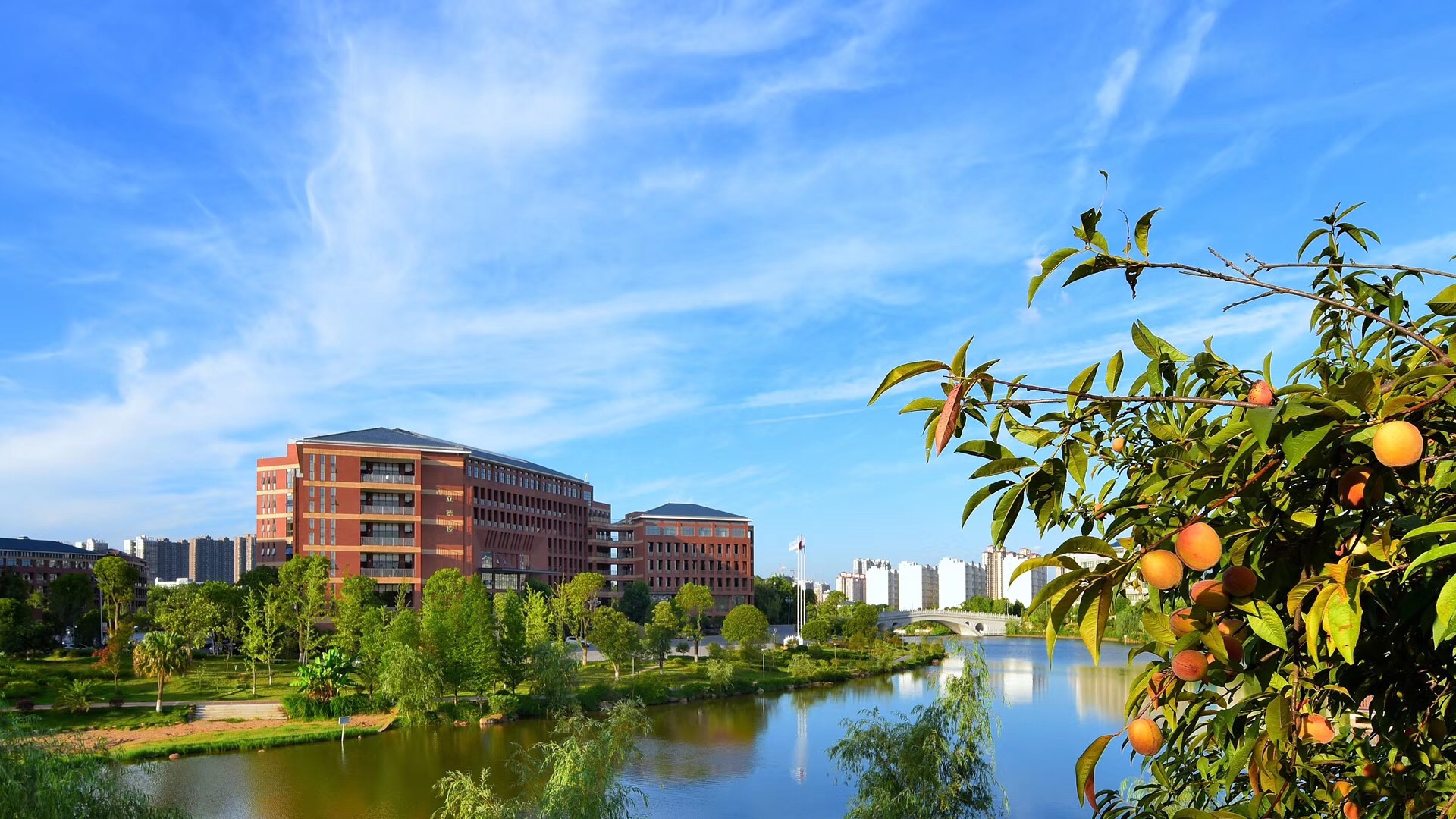 【同等学力申硕】湖南科技大学2025招生简章
