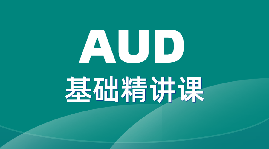 2025AUD基础精讲课