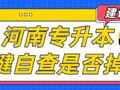 暑期专升本备考 一键自查进度是否掉队！