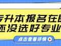 专升本报名在即，还没选好专业？快来看看！