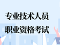 2023年度专业技术人员职业资格考试工作计划