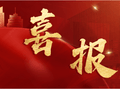 易考360 | 26管理类联考初试高分榜