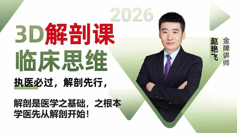2026年临床3D解剖课