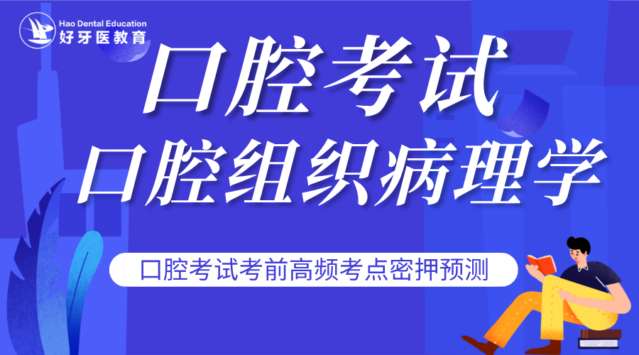 口腔组织病理学考点笔记（全）