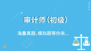 审计师（初级）
